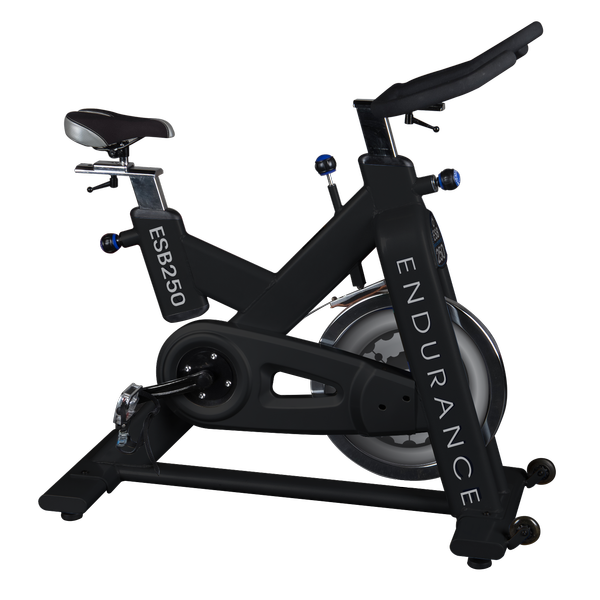 Body-Solid ENDURANCE ESB250 EXERCISE BIKE